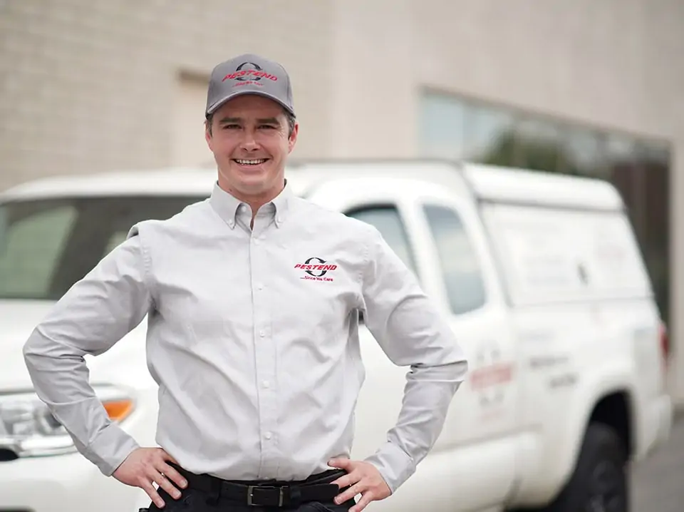 Why Bed Bugs Are So Difficult To Get Rid Of Pestend Pest Control Mississauga