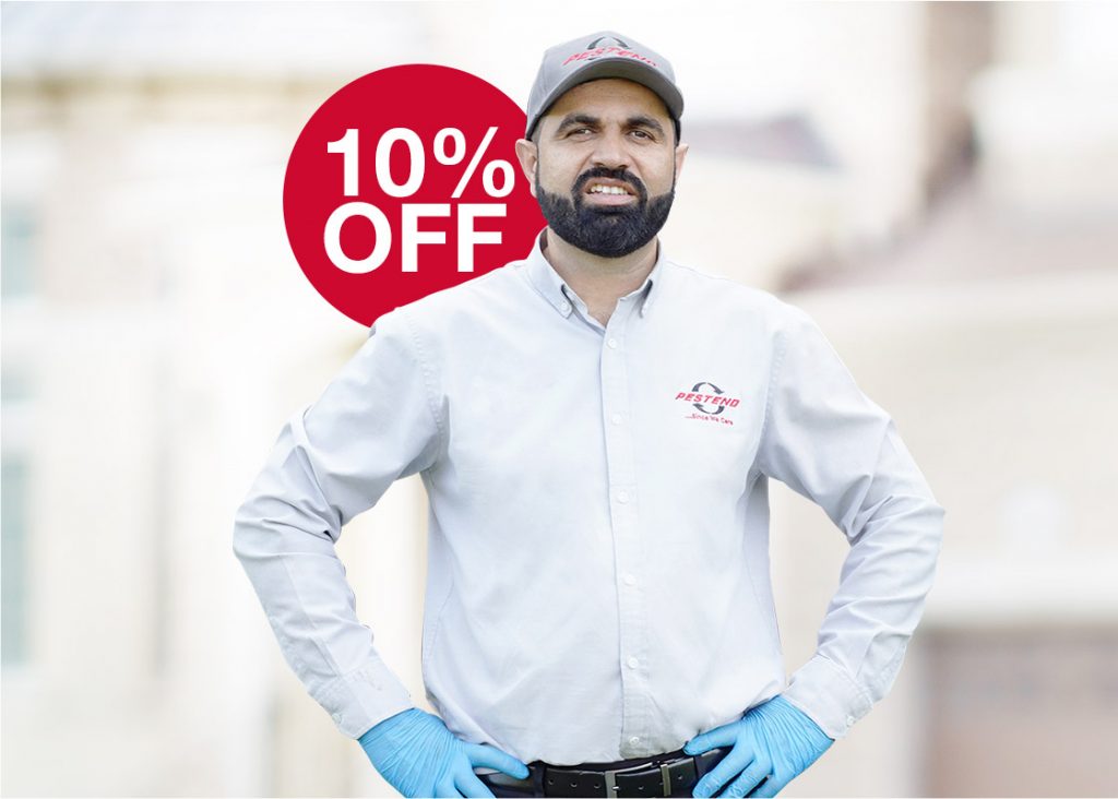 10% Off Cockroach Extermination Sale in Mississauga