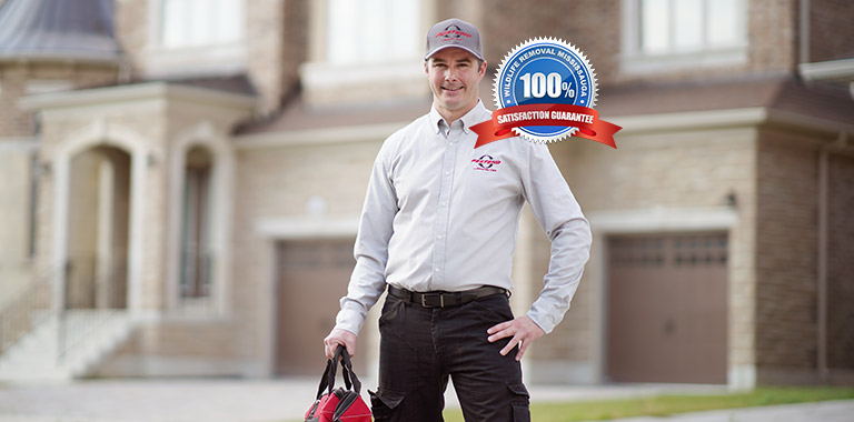 100% Satisfaction Guarantee Wildlife Removal Mississauga