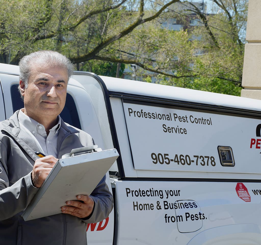 Commercial Pest Control Mississauga