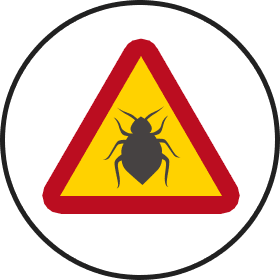 Other Bed Bug Heat Treatments