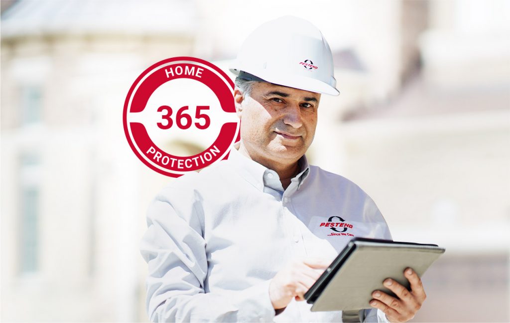 Pestend Control Home Protection 365 Mississauga