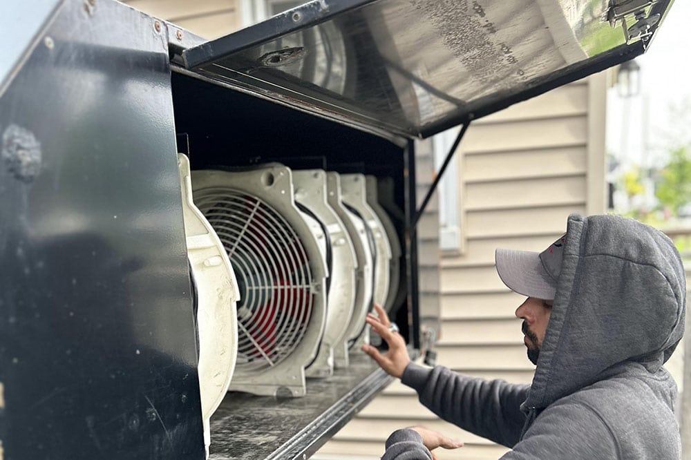 Bed bug thermal treatment cost
