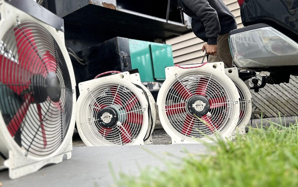 Heat Treatment For Bed Bugs