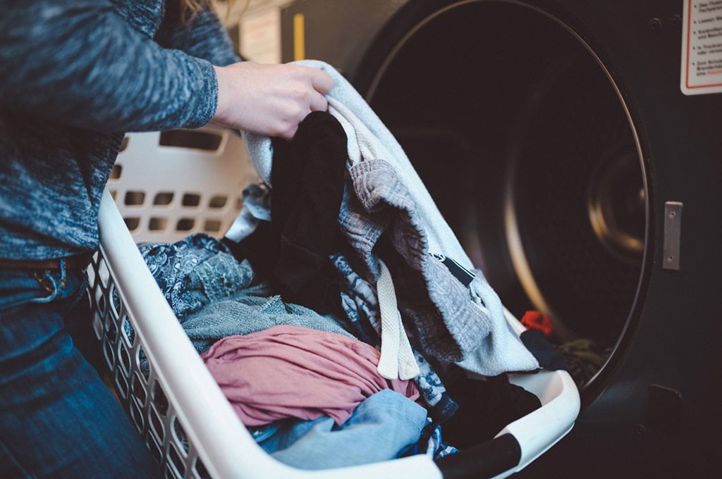 How To Treat Bed Bug infested Items