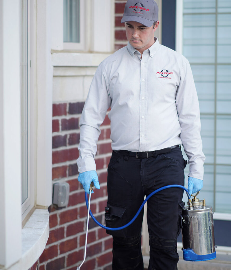 Pest control technician inspecting a Mississauga home for ant activity