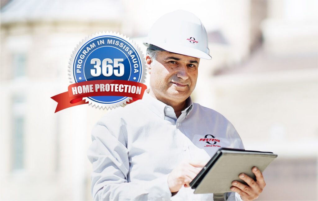 Home Protection 365 annual pest control plan - Mississauga