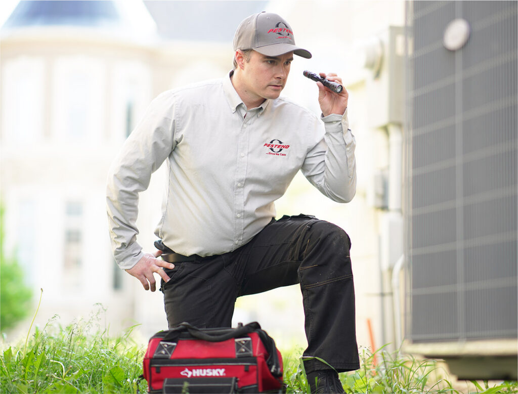 Rat Control Mississauga