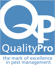 QualityPro Mark of Excellence certification - ant control Mississauga